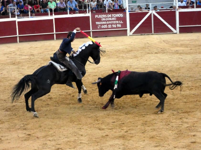 José Velasco Durante Su Actuación En La Tarde Del Domingo En Loja. Foto: P. Castillo