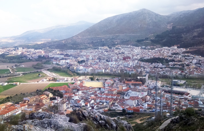 El Ayuntamiento Puede Destinar Estos Fondos A Los Fines Que Estime Oportunos.