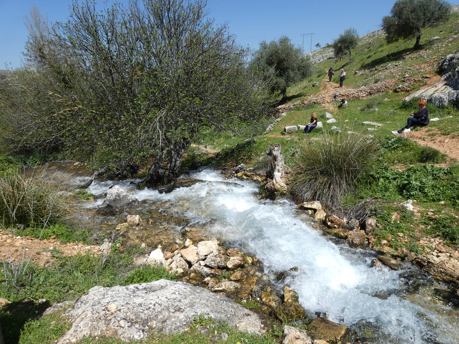 Nacimiento De Riofrío