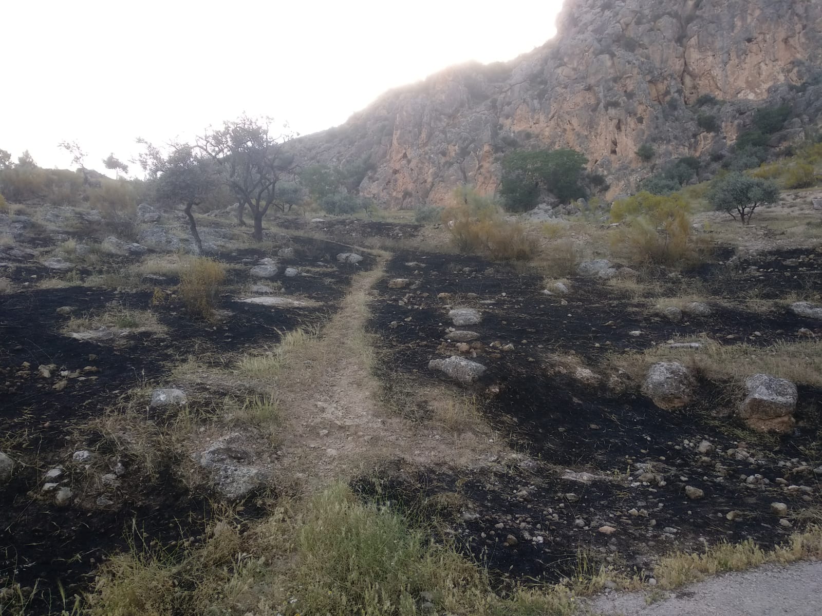 Estado En El Que Quedó El Lugar Tras El Incendio