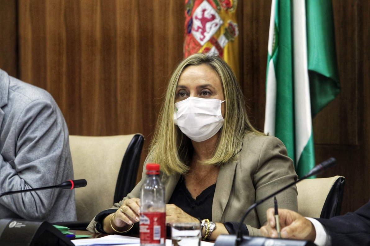 La Consejera Marifrán Carazo Informa Sobre La Situación De La Carretera. Foto: Junta