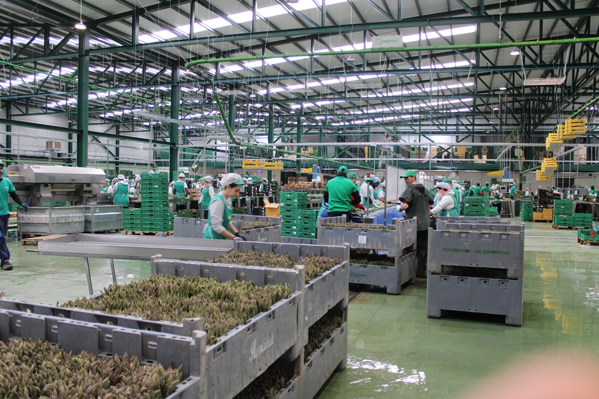 Interior De Las Nuevas Instalaciones En El Polígono Manzanil Ii. Foto: C. Molina