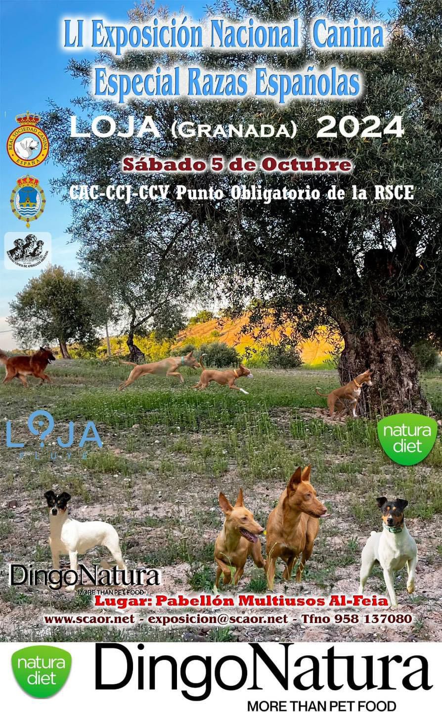 Expo Canina1